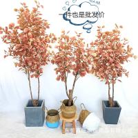uploads/erp/collection/images/Home Garden/dgjiawang/XU0612598/img_b/XU0612598_img_b_1